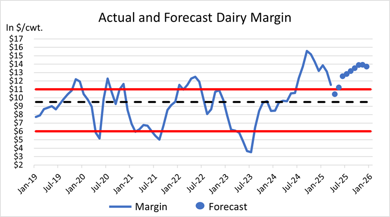 Actual and Forecast Dairy Margin chart