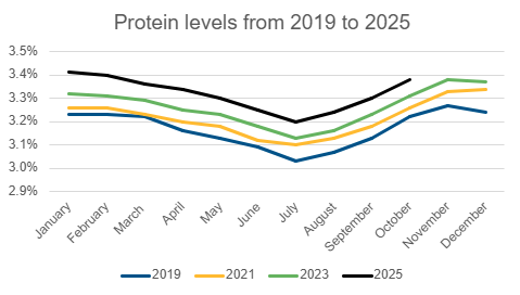 Line graph of Protein levels from 2019 to 2025