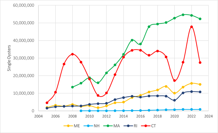 New England Oyster Aquaculture Production chart of single oysters over time