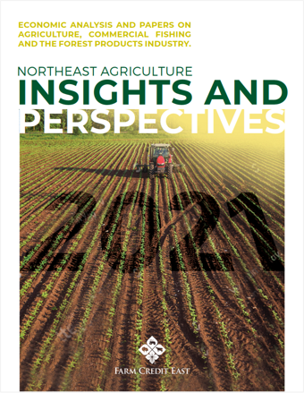 21 Insights Perspectives