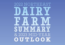 2022 NE DFS and 2023 Mid Year Outlook title page thumbnail