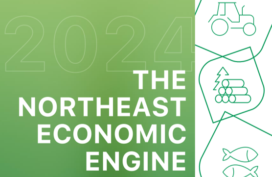 Cover of the 2024 Economic Impact report
