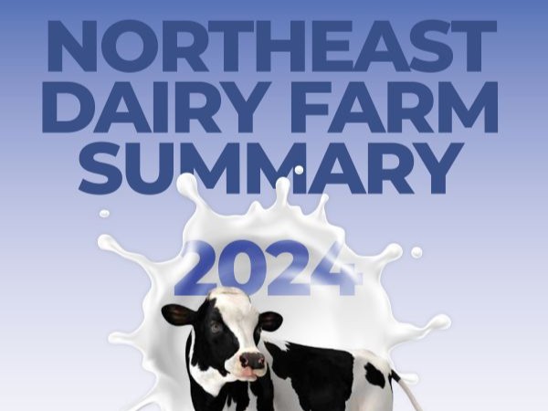 2024 Northeast Dairy Farm Summary and 2025 Mid-Year Outlook cover