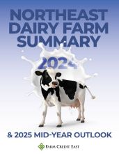 2024 Northeast Dairy Farm Summary and 2025 Mid-Year Outlook cover
