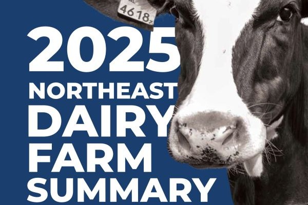 2025 Northeast Dairy Farm Summary and 2026 Mid-Year Outlook cover