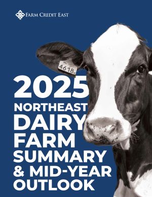 2025 Dairy Farm Summary and Mid-Year Outlook