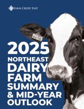 2025 Dairy Farm Summary report cover