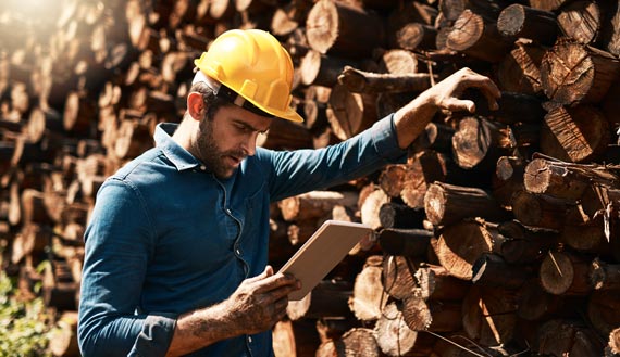 Man stands in front of lumber pile with tablet