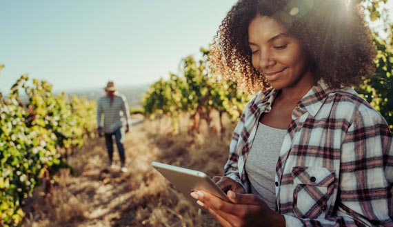 Close-up of ag worker hand on tablet in cornfield
