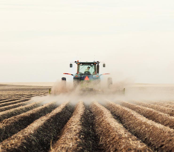 Tractor spraying potato field 