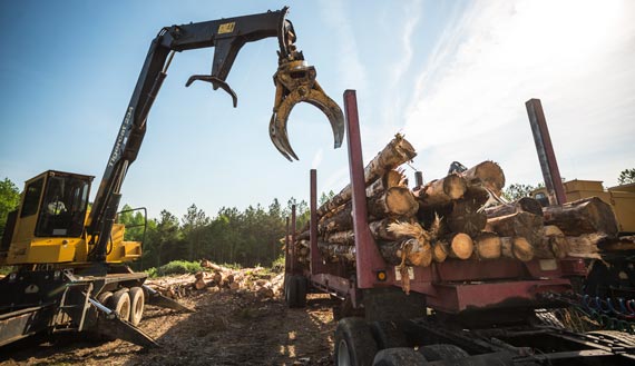 Forestry equipment loading logs 