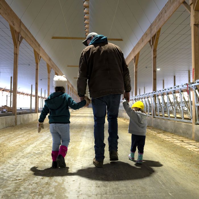 Five Mile Dairy dad and young daughters walking in barn