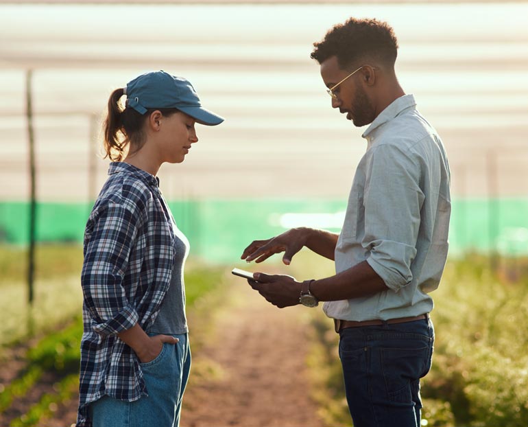 Farmer and an ag consultant with a laptop walk in a cornfield at sunset 