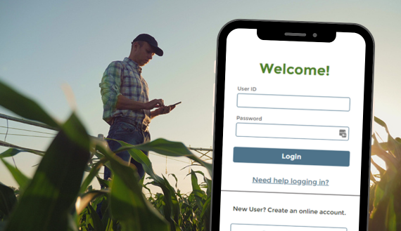 Farm Credit Connect log in screen on mobile phone over image of a farmer in a cornfield working on his mobile phone.