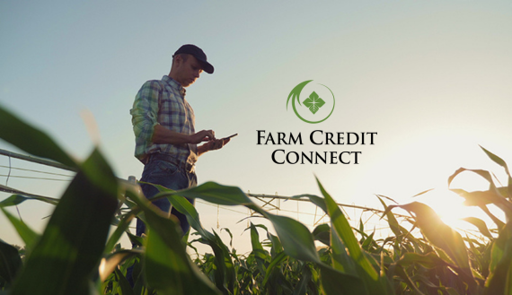 Farmer standing in a corn field looking at a mobile device in his hands.