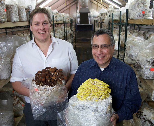 Rhode Island Sales Tax >> FarmStart Rhode Island Sales Tax >> FarmStart